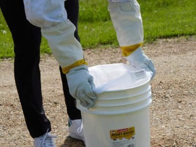 Plastic bucket for honey with honey valve in use